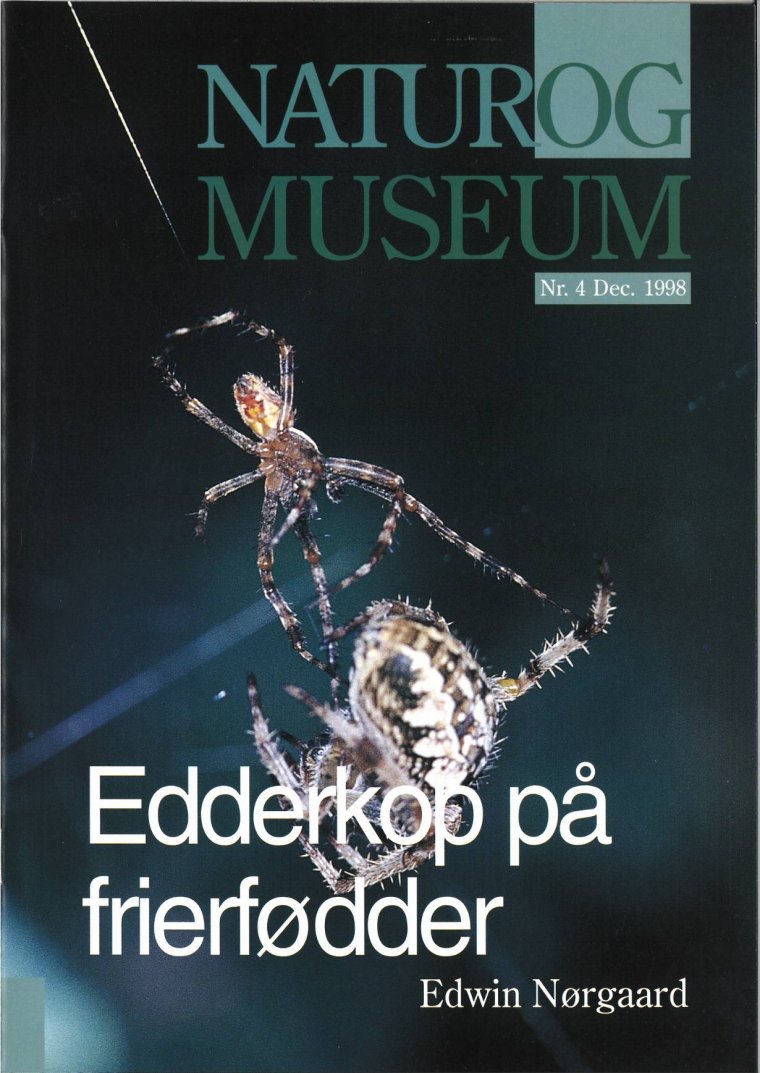 Edderkop på frierfødder